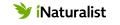 logo iNaturalist